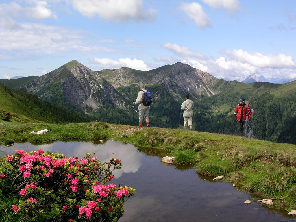Ferienhaeuser Familie Hofer Weissensee